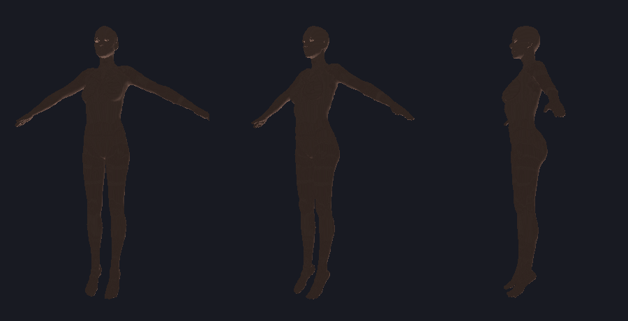 three-view render of the rigged demo