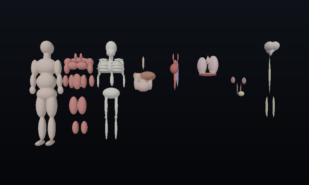 exploded anatomical being, eight systems fanned