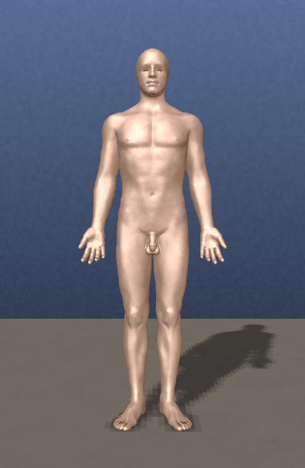 Body bench -- the honest ruler behind the detail-bound headline (front, side, shape and detail; headline is the MIN)