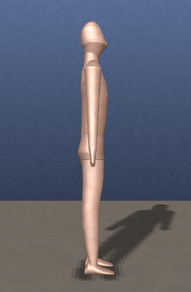 sovereign procedural body, side