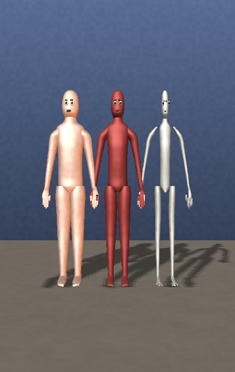 The same generated body exploded into its bone, muscle and skin layers