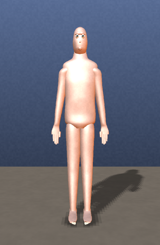 The body at rest, before tissue simulation
