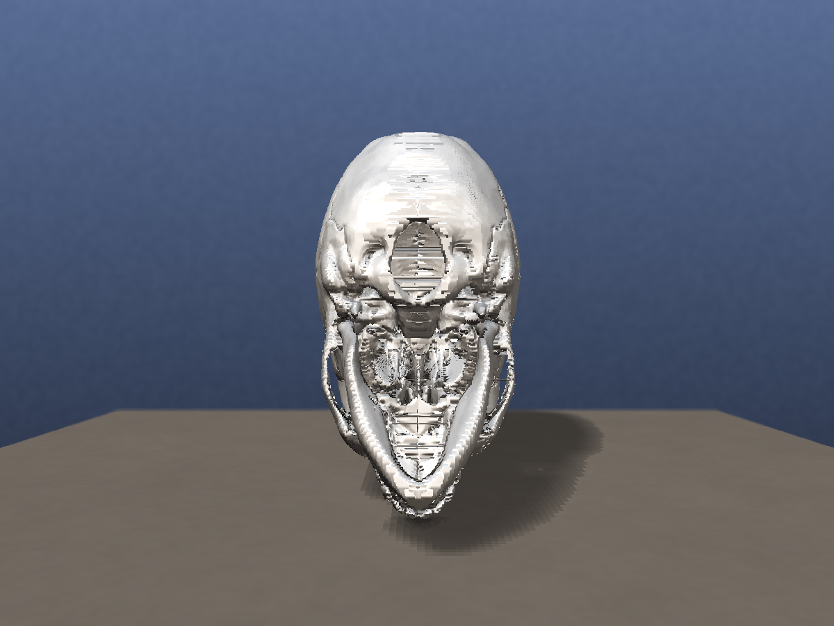 voxref control at 1mm — half skull under the triangle cap
