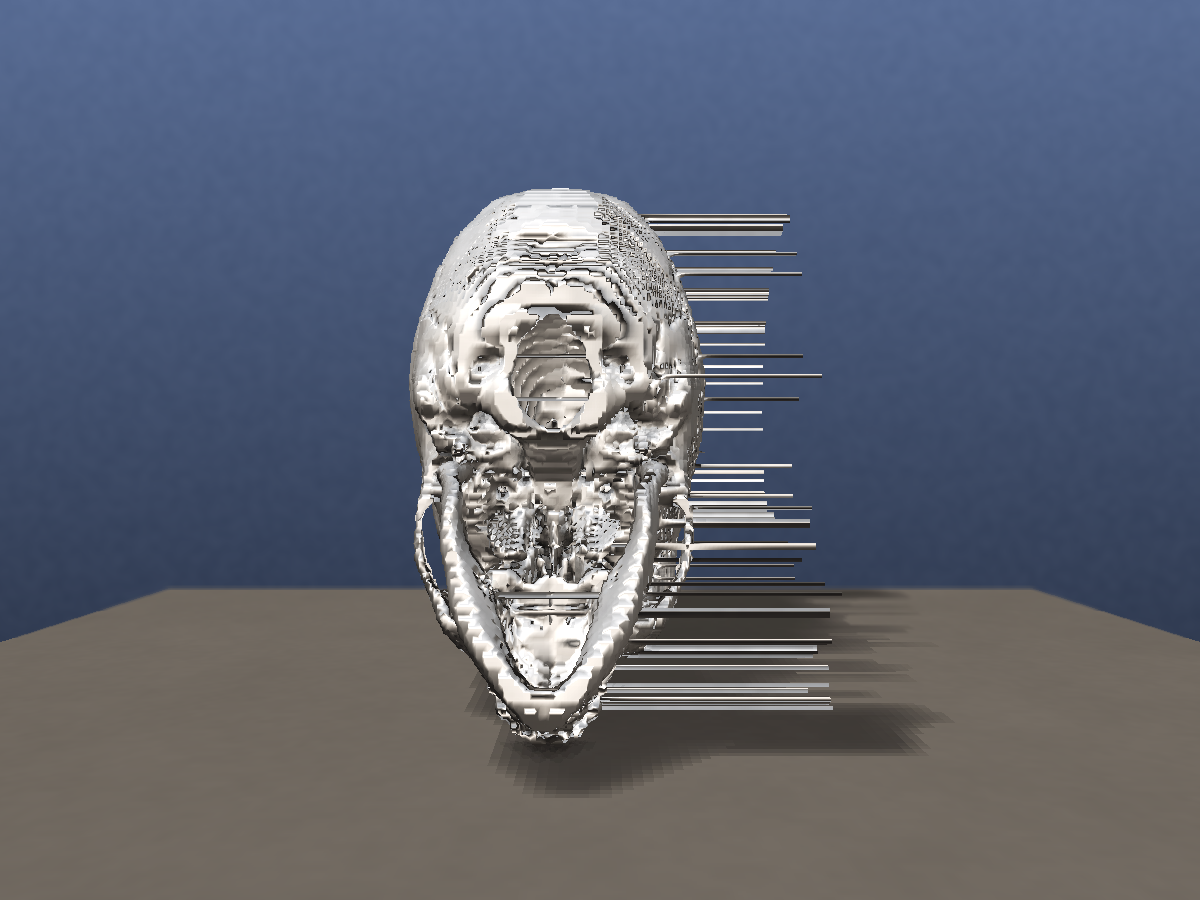 voxref control at 2mm — complete skull with parity streaks