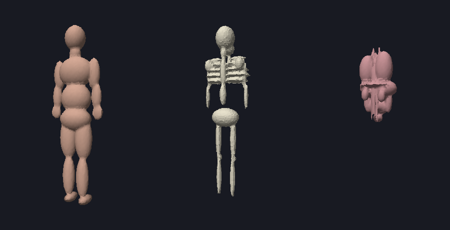 the being meshed with per-part materials: smooth skin, ivory skeleton, coloured organs
