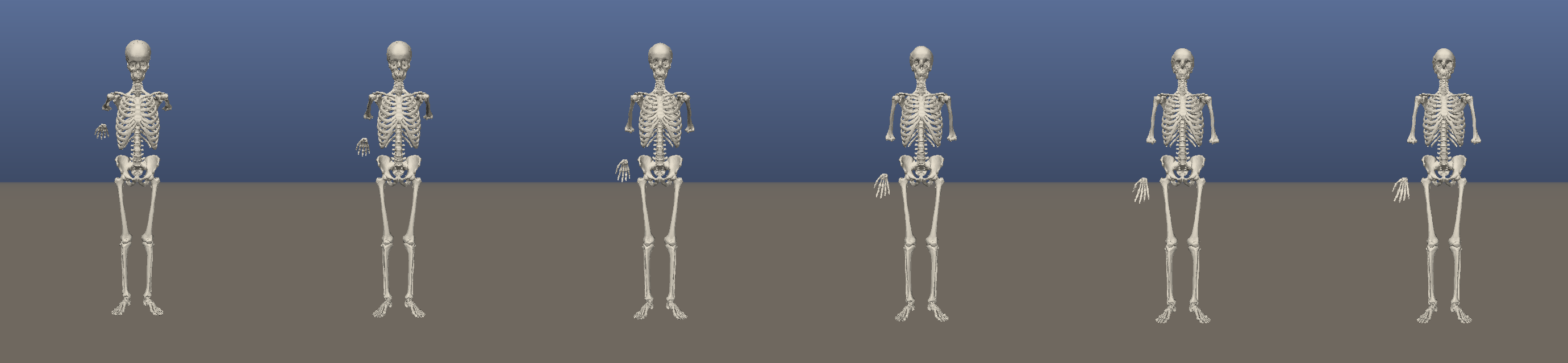 Articulated-rig pose strip -- FK joint tree with damped-pendulum physics on the real BodyParts3D skeleton; replay bit-identical on frame checksums (the ANATOMY rig row above)