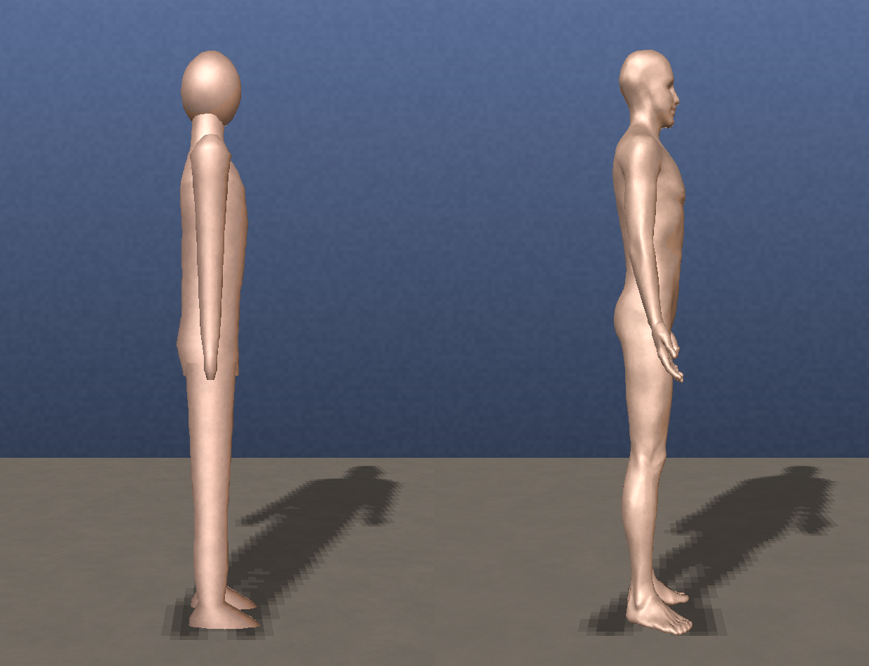 side view: our procedural body (left) vs the oracle (right)